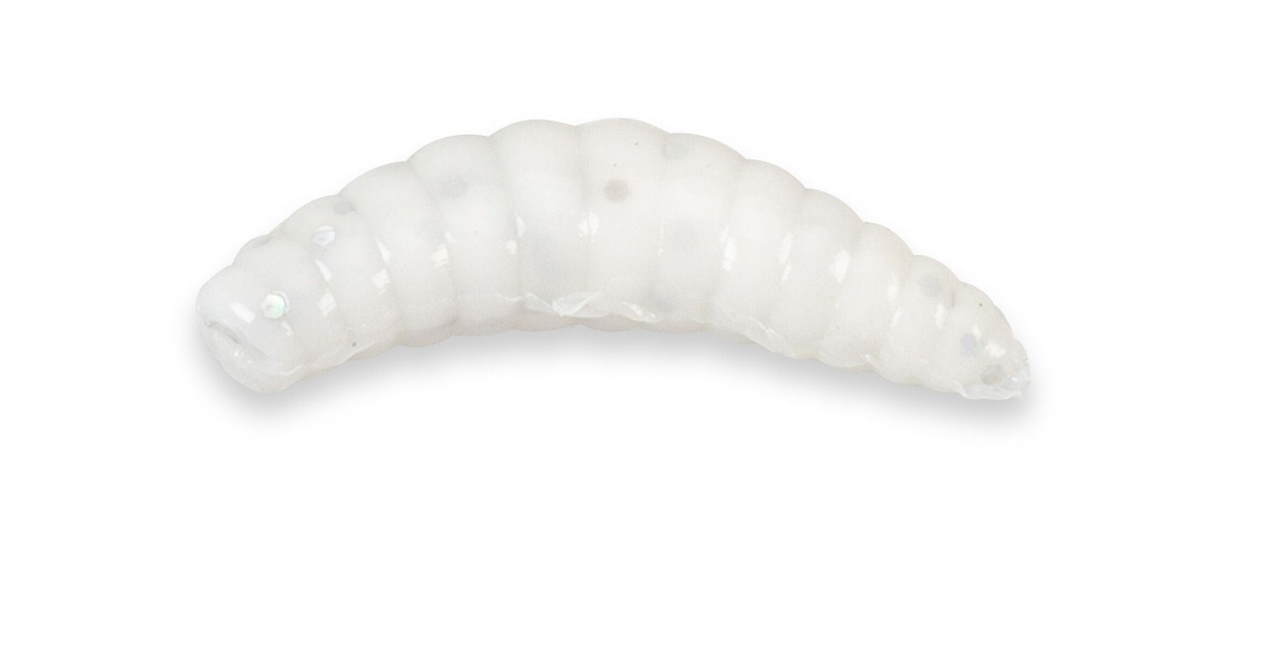 Super Soft Bee Maggots