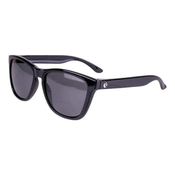 Polarized Classic Glasses