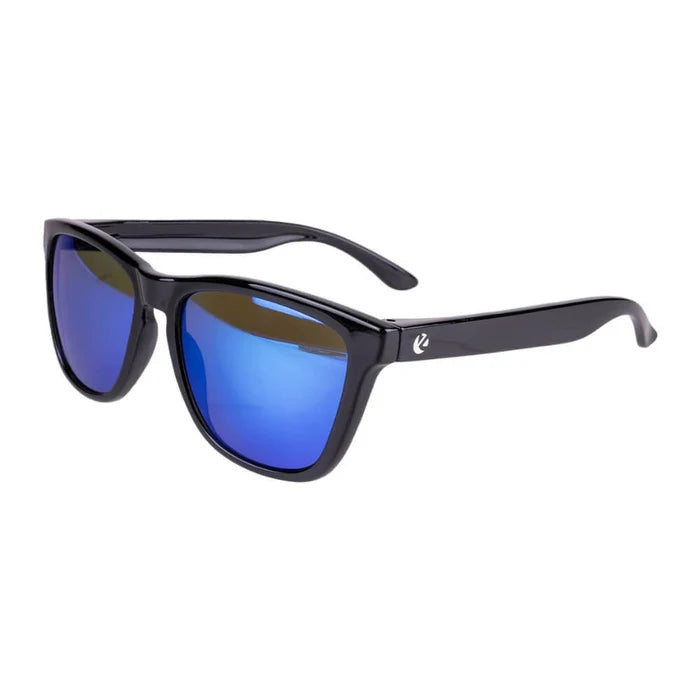 Polarized Classic Glasses