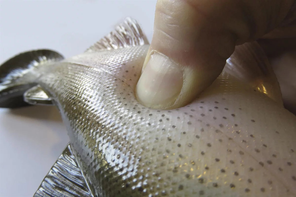Trendex Super Trout Gummifisch