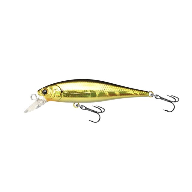 Pointer 65SP
