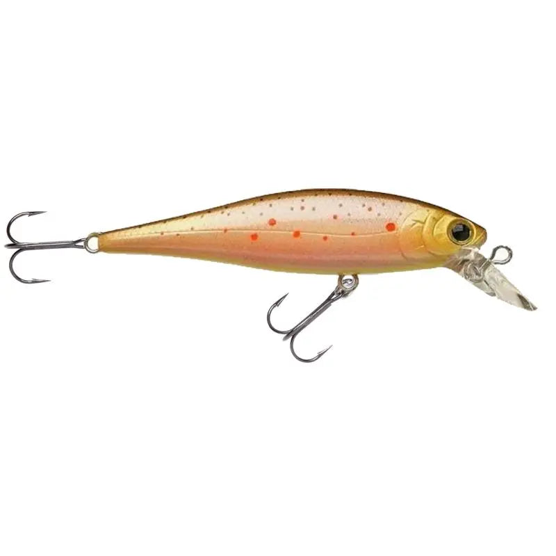 Pointer 65SP