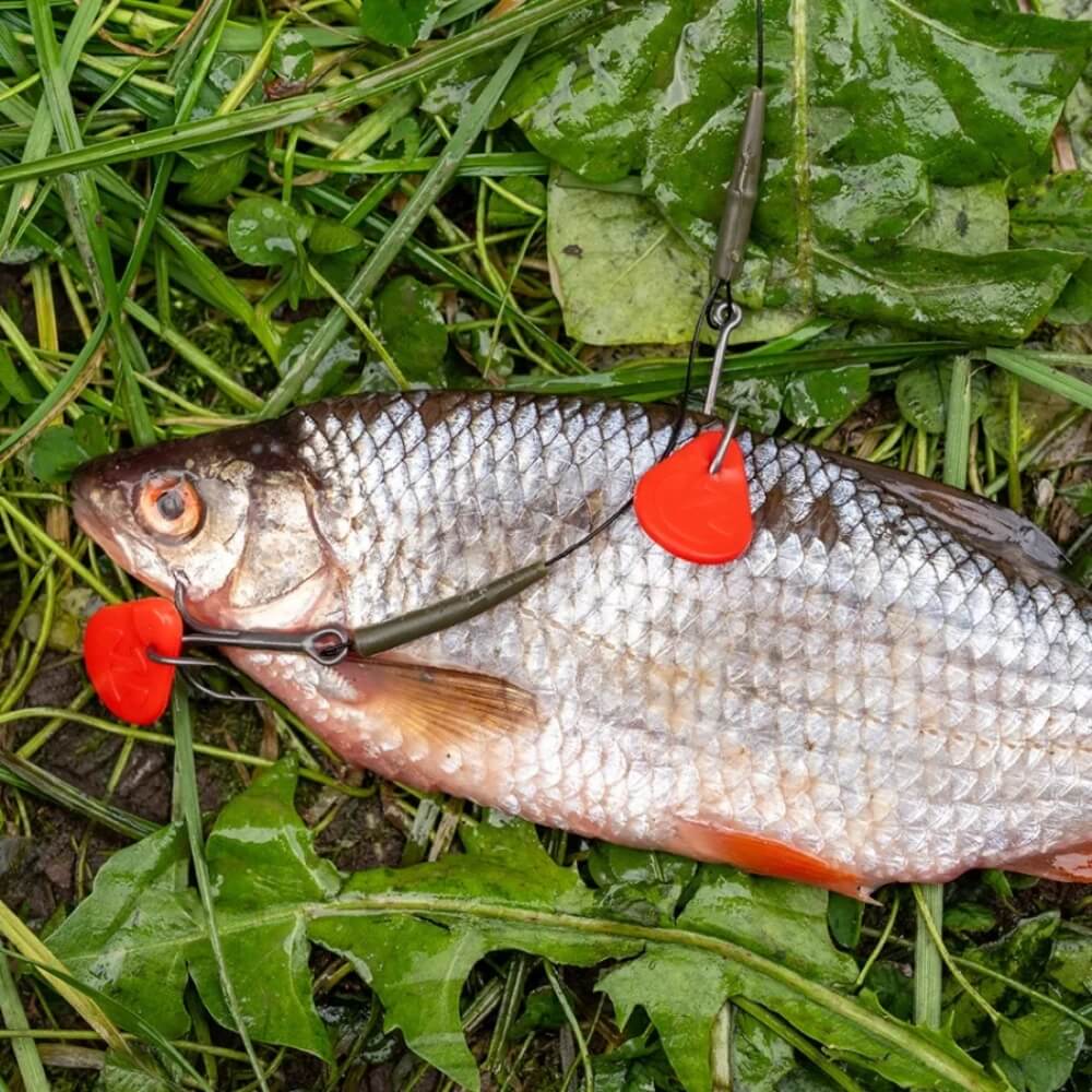 DB Bait Flag