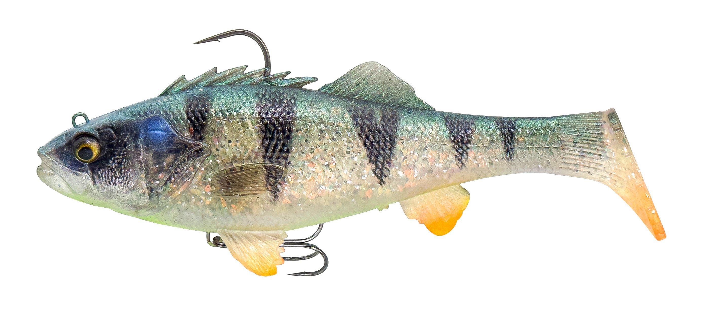 3D Perch RTF Angelgerät für vielseitigen Einsatz am Wasser