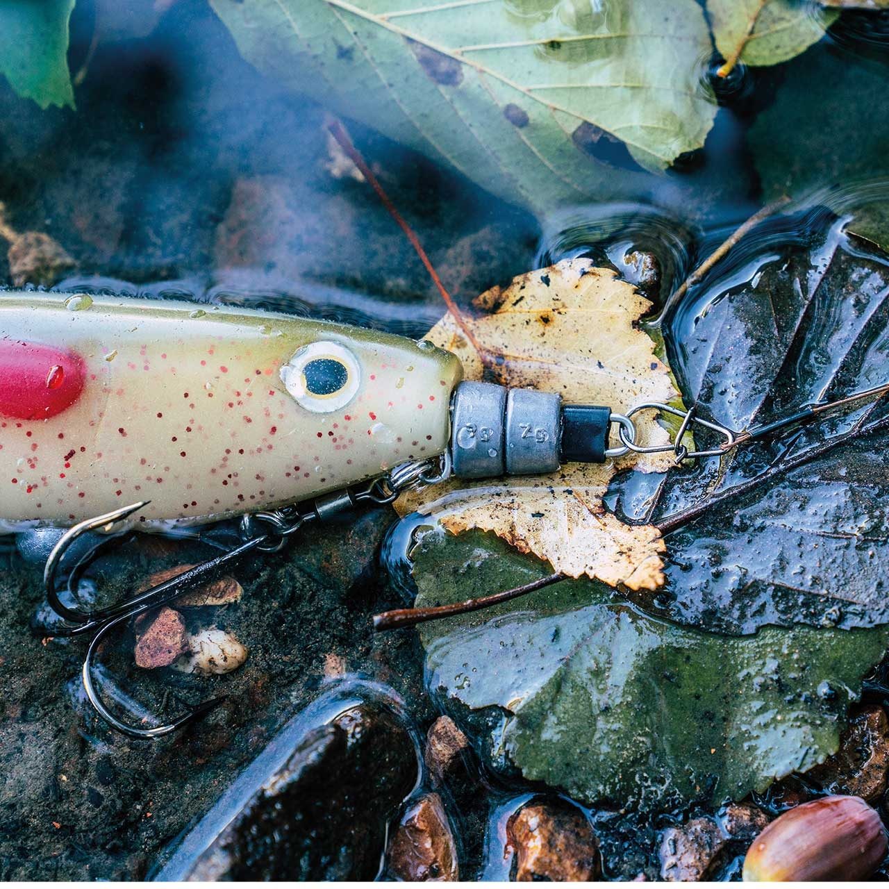 Softbait System von Zeck Fishing