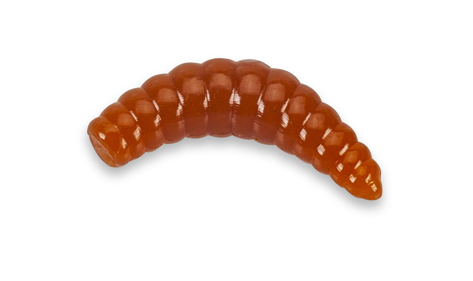 Super Soft Bee Maggots