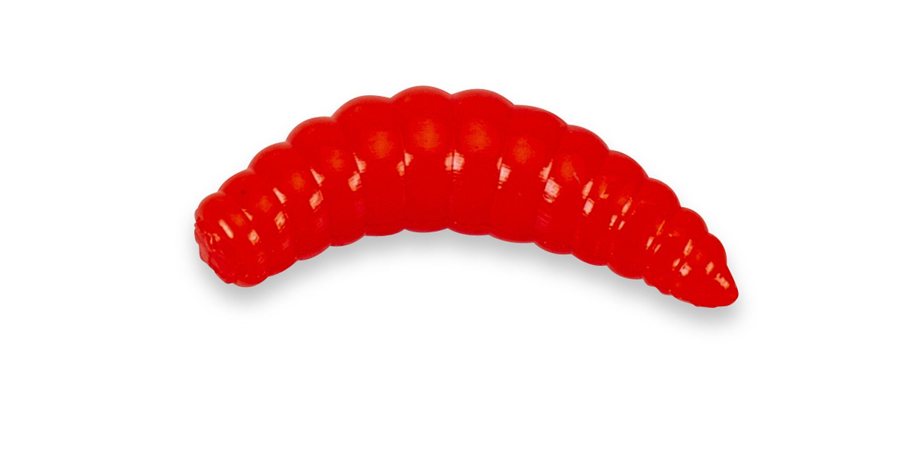 Super Soft Bee Maggots