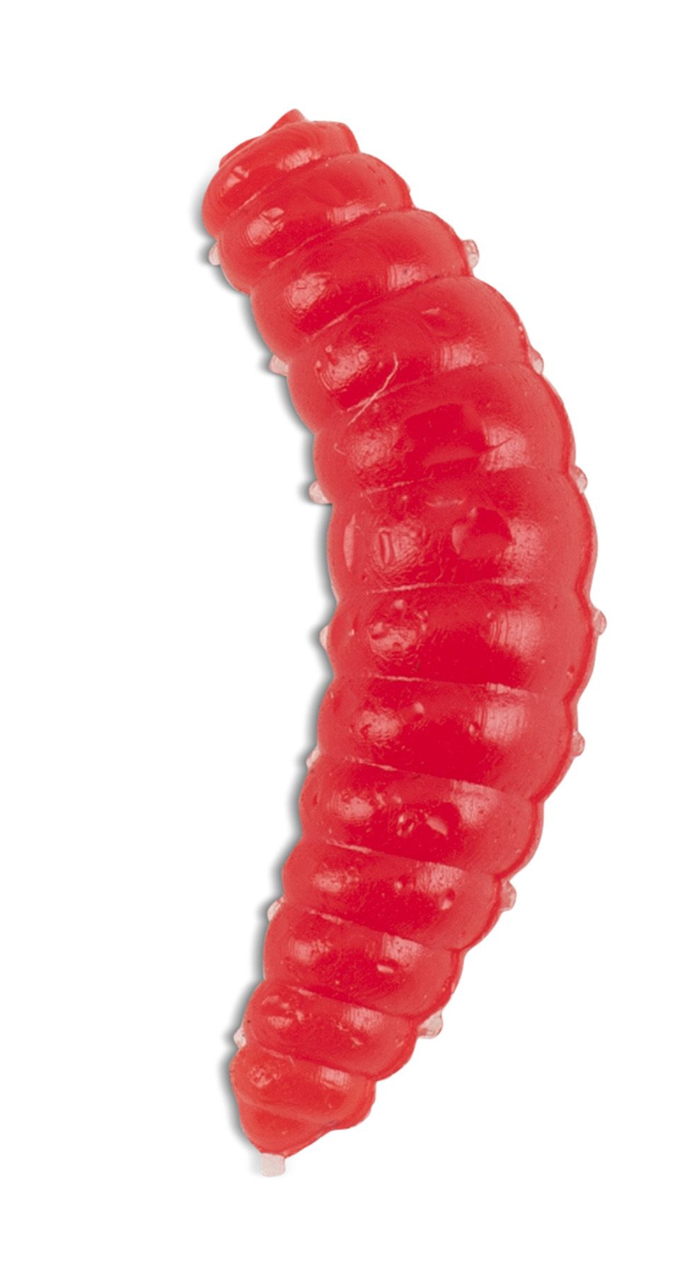 Bee Maggots