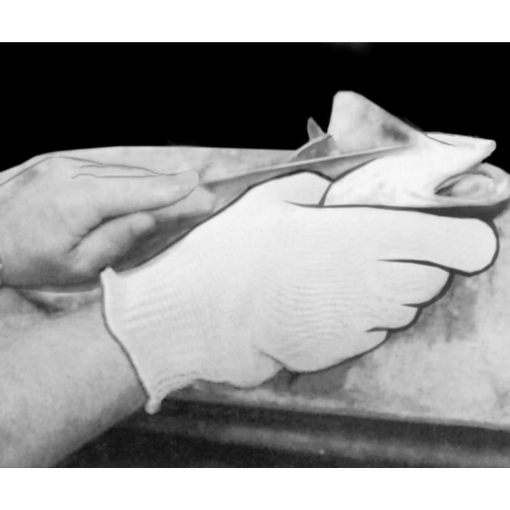 Handschuh zum Filetieren (Set)