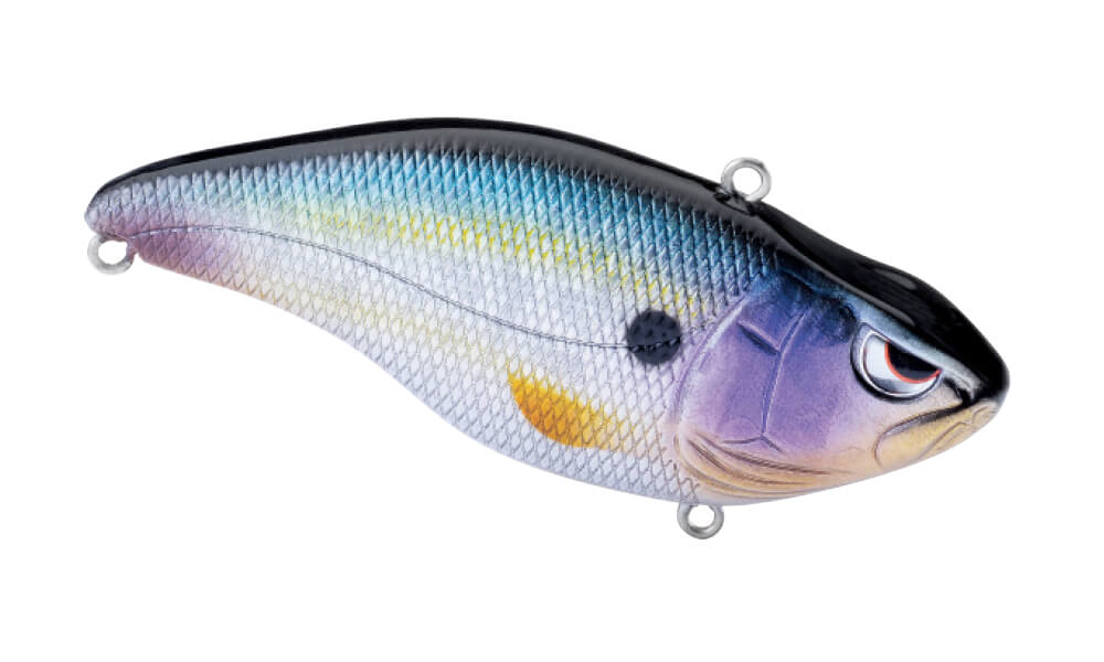 Aruku Shad 75