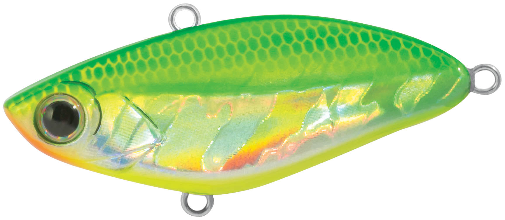 RAPTURE X-VIBE Lipless Crankbait mit lautloser Aktion für misstrauische Raubfische