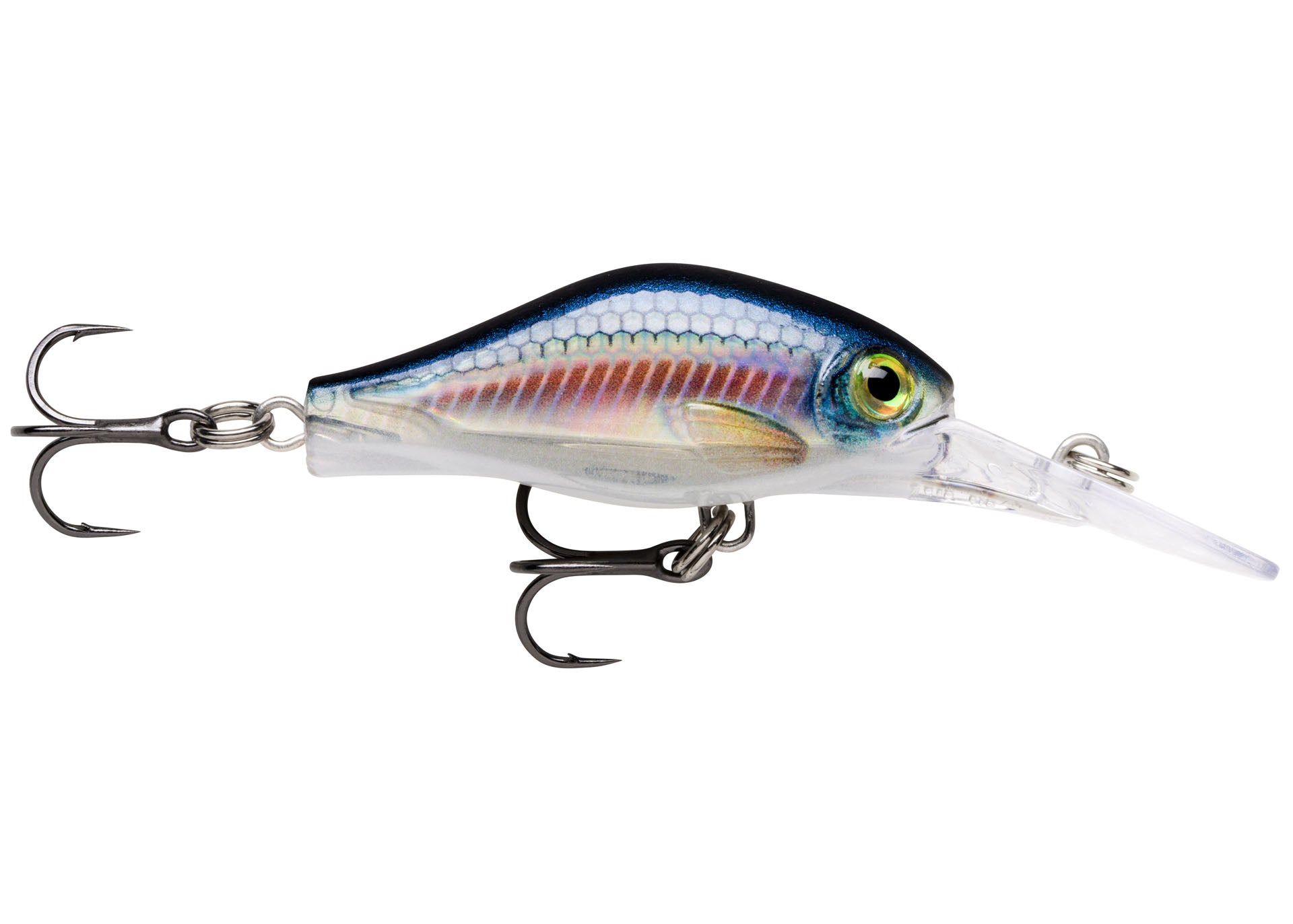 Rapala Shadow Rap Fat Jack Hardbait in Farbe BLL, kompakter Crankbait mit Rasselkammern und realistischem Dekor.