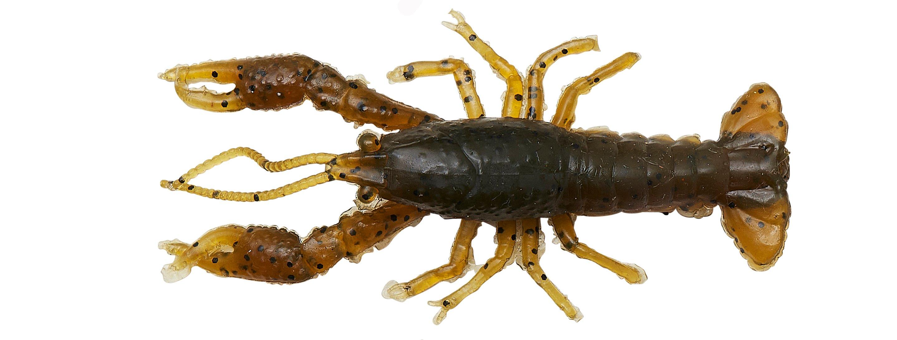 Ned Craw Angelgerät für vielseitigen Einsatz am Wasser