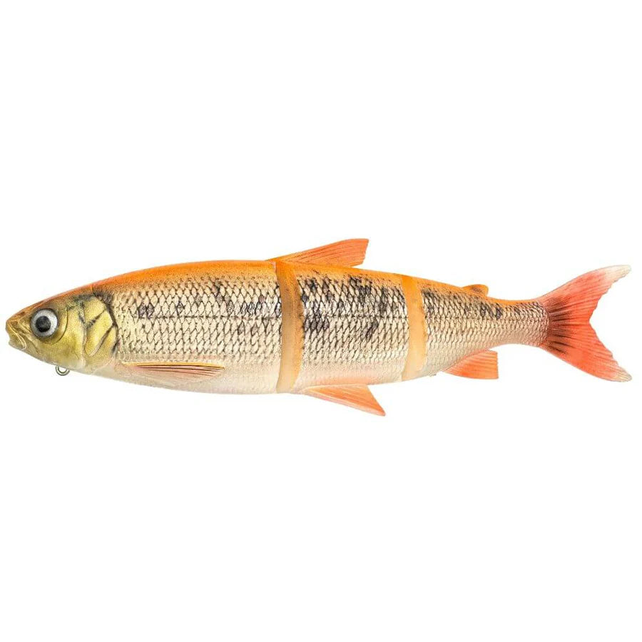 3D Line Thru Whitefisch