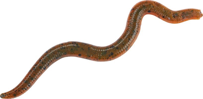 Shirasu Wiggle Worm