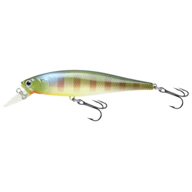 Pointer 65SP