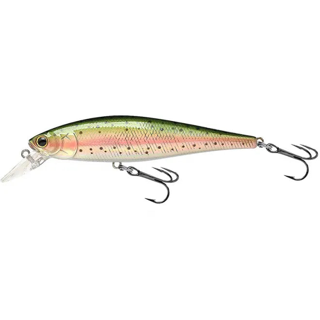 Pointer 100SP