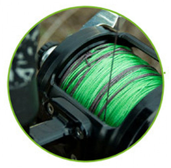 Snag-Leader