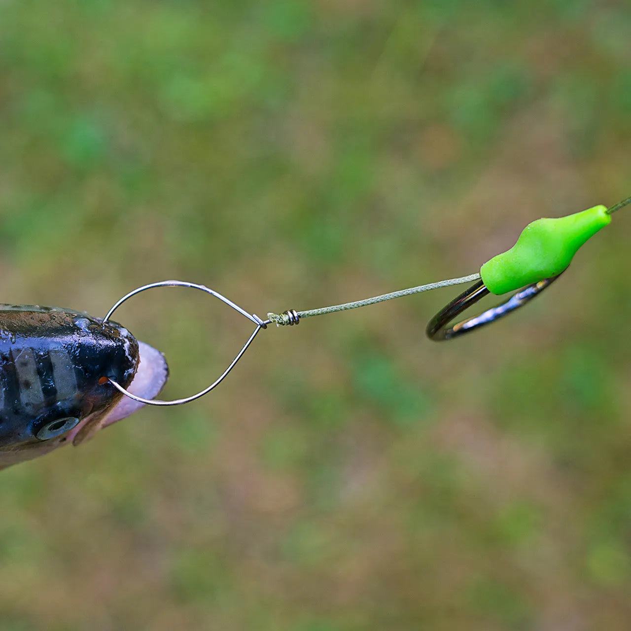 Baitfish Clip Hair-Rig